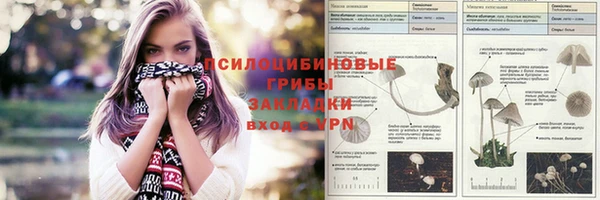 PSILOCYBIN Сосновка