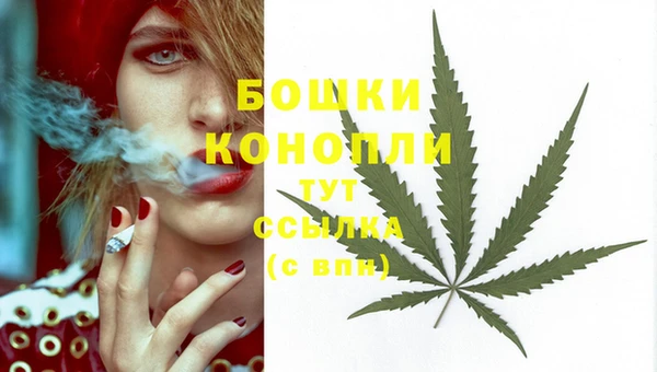 ECSTASY Сосновоборск