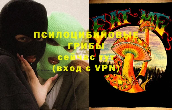 ECSTASY Сосновоборск