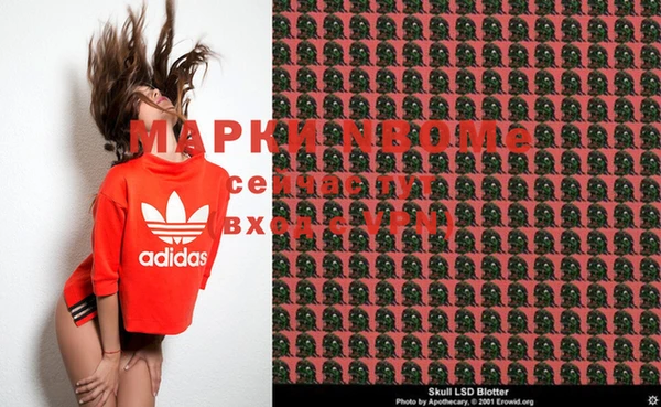 индика Аша