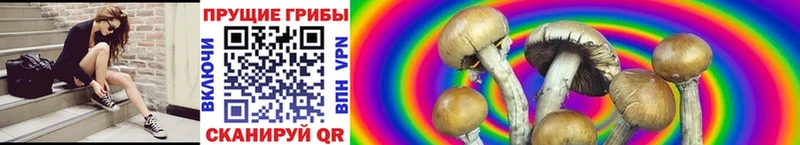 Псилоцибиновые грибы GOLDEN TEACHER  mega ссылка  Великие Луки 